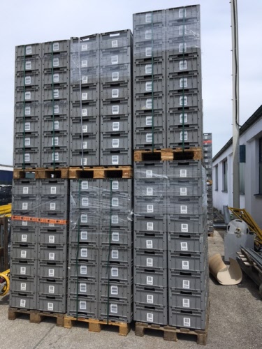 Casse Schäfer grigio LFT 6220